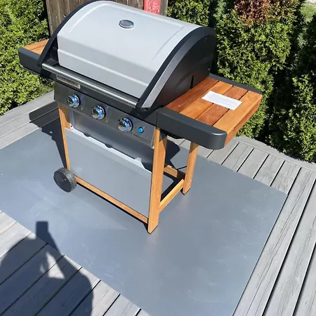 Kunigiskiu Apartamentai * Palanga