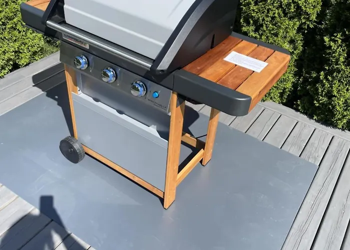 Kunigiskiu Apartamentai * Palanga